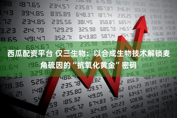 西瓜配资平台 仅三生物：以合成生物技术解锁麦角硫因的“抗氧化黄金”密码